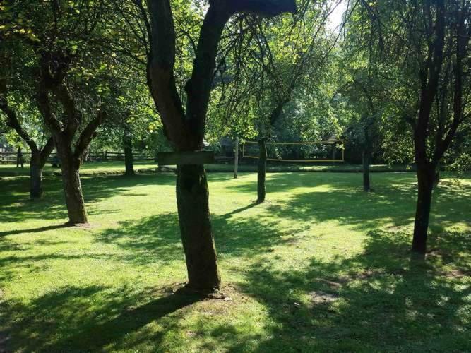 Kamp Na Otoku - Ljubno Ob Savinji Hotell Exteriör bild