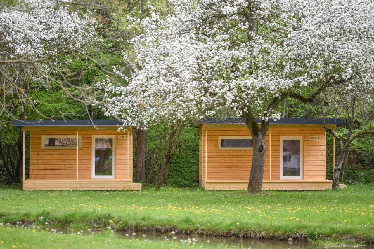 Kamp Na Otoku - Ljubno Ob Savinji Hotell Exteriör bild
