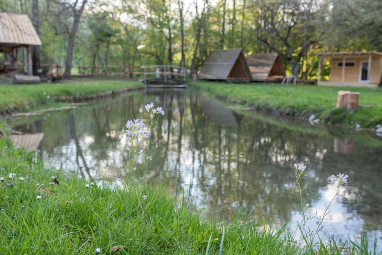 Kamp Na Otoku - Ljubno Ob Savinji Hotell Exteriör bild