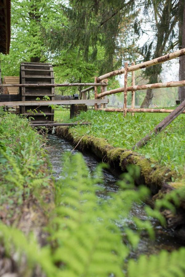 Kamp Na Otoku - Ljubno Ob Savinji Hotell Exteriör bild