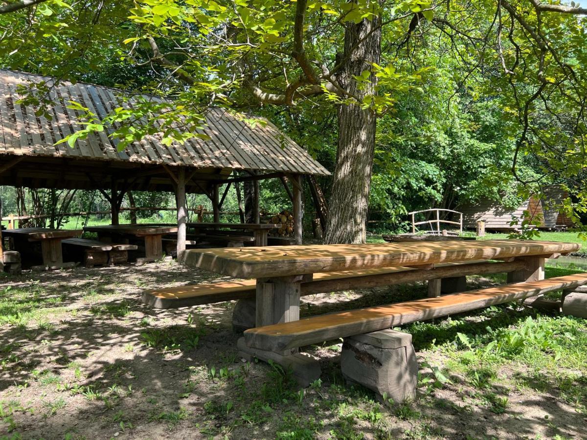 Kamp Na Otoku - Ljubno Ob Savinji Hotell Exteriör bild